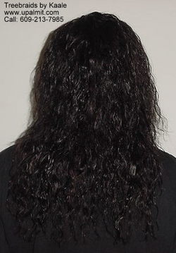 Tree Braids - Brunette, Wavy hair, Long hair styles, Styles, Female, Curly hair, Adult hair, Tree braids hairstyle picture