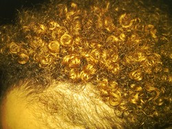 my curls  - Blonde, 3c, Medium hair styles, Updos, Afro, Readers, Styles, Special occasion, Female hairstyle picture