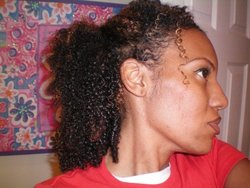 coiled curls - Brunette, 3c, Medium hair styles, Updos, Readers, Female, Curly hair hairstyle picture