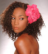 billie holiday - Hair extensions