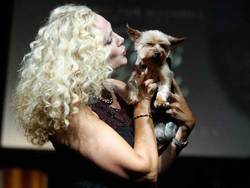 Morgen Schick - Blonde, 3a, Celebrities, Mature hair, Long hair styles, Female, Curly hair hairstyle picture