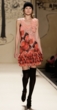 fashion week 09 - tracy reese comey collection - 2c