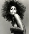 shakara ledard - Celebrities