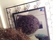 new layered haircut  - Readers