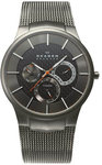 Skagen 809XLTTM Titanium Gray Dial Dial Quartz Day Date
