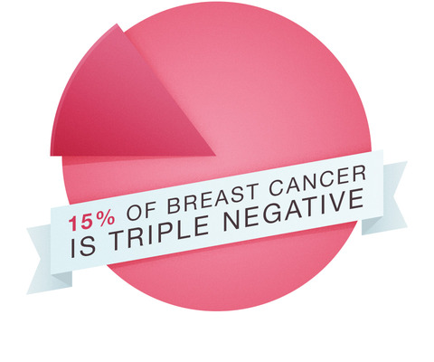 New finding points to potential options for attacking stem cells in triple-negative bReast cancer