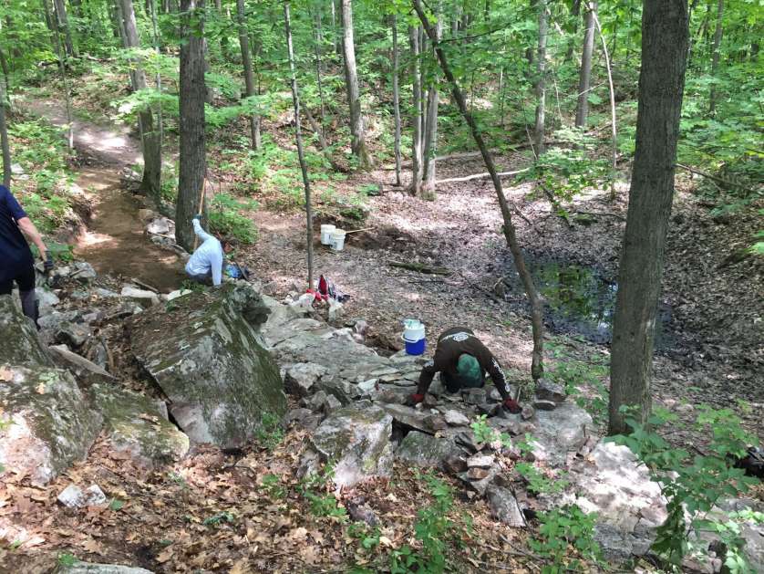 Volunteer group at work