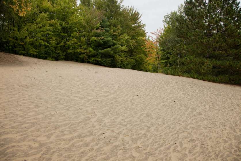 Les dunes de sable de la forêt Pinhey