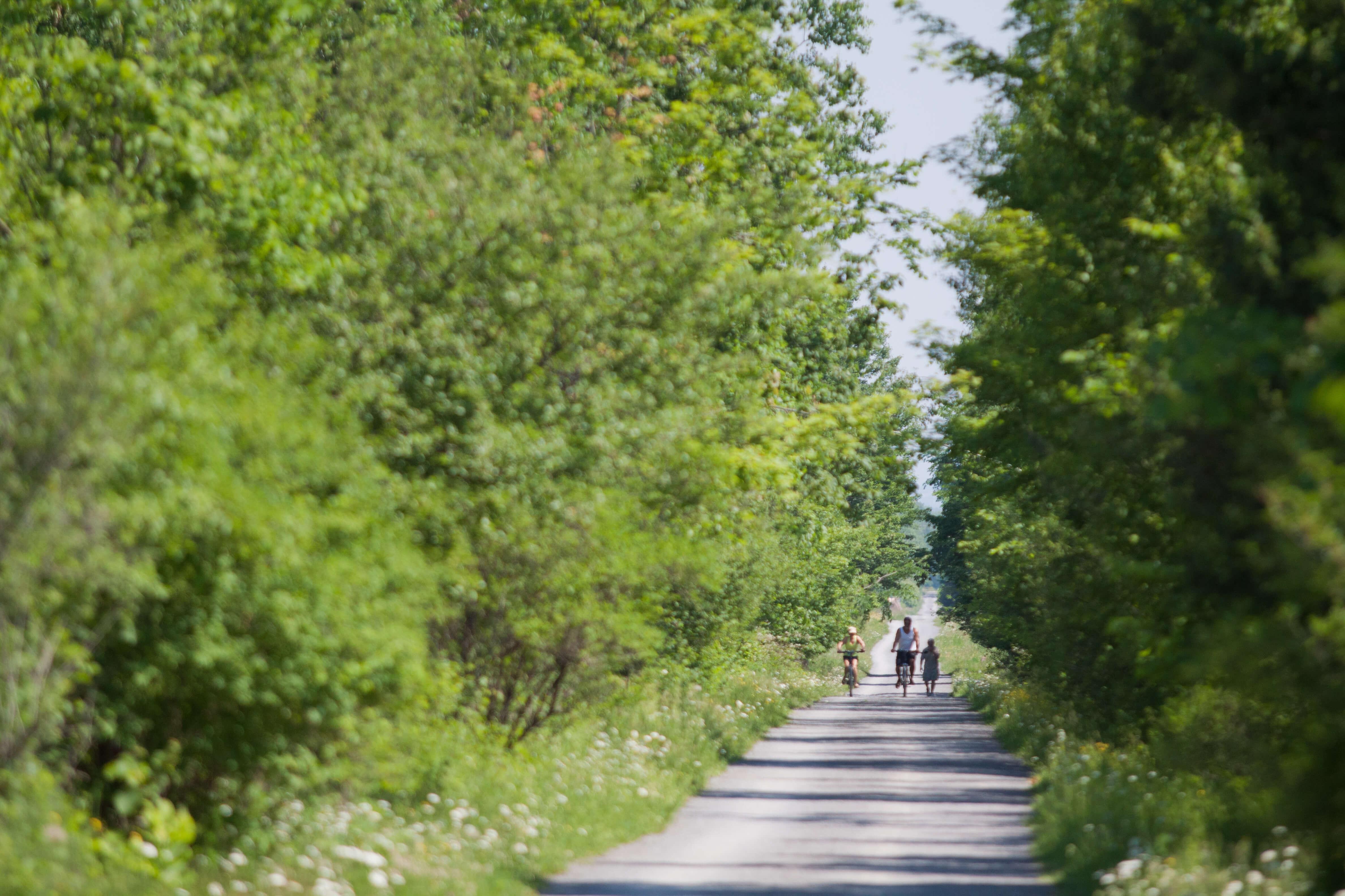 Sentier