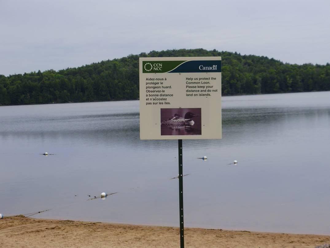 panneaux flottants