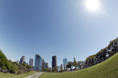 Houston_fourth_ward