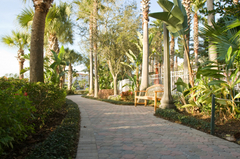 College-park-orlando