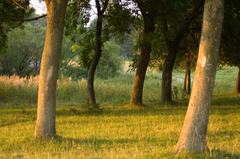 Greenway-parks-dallas