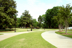 Istock_000000213102xsmall