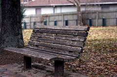 Istock_000001367319xsmall
