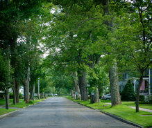 Istock_000001913152xsmall