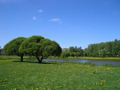Istock_000002207638xsmall