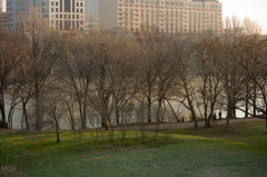 Istock_000002850037xsmall