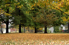 Istock_000004135754xsmall