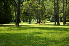 Istock_000005073765xsmall