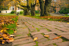 Istock_000007793204xsmall