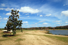 Lake-formosa-orlando