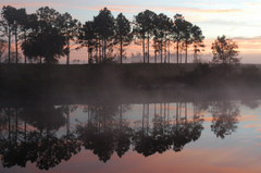 Lake-holden-orlando