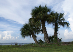 Lake-underhill-orlando