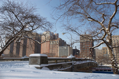 Lincoln-park-chicago