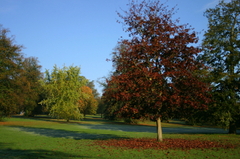 Park_pictures