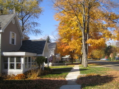 Shaded_suburban_street