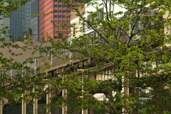 South-loop-chicago