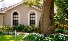 Suburban_house_and_tree