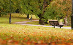 University-south-evansville
