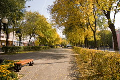 Urban_street