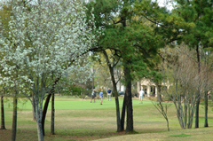 West-university-houston