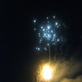 2009_block_party_-_34_thumb