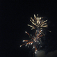 2009_block_party_-_23_thumb