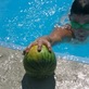 Img_1384_thumb