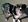 LOST - MALE AUSTRALIAN SHEPHERD IN THE MISSION has 2 images.