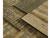 Urbanoz1_bofnc_web-image1-1272665211_tn