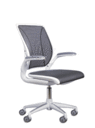 Diffrient World Chair
