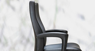 Swing+ Task Chair