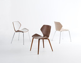 Ginkgo Chair Series