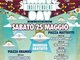 MAYDAY FESTIVAL