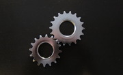 Fixed cog