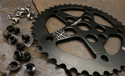 Trackstar Spider by Leaf