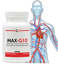 MAX-Q10