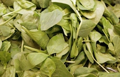 Food_getty_column