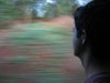 41644_827168367_1055_s_medium